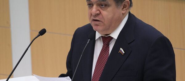 Први заменик председника Комитета Савета Федерације за међународне односе Владимир Џабаров - Sputnik Србија