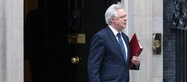 Dejvid Devis Dejvid Devis - Sputnik Srbija