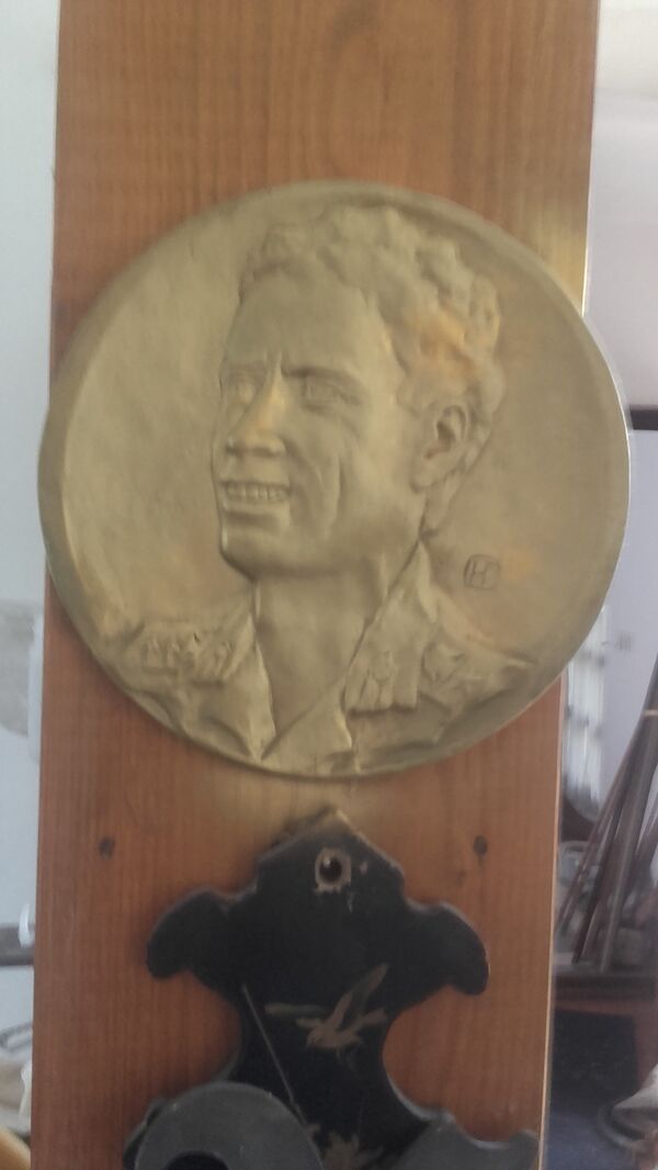 Gadafi kome je Goga skinuo jednu zvezdicu sa epoleta - Sputnik Srbija