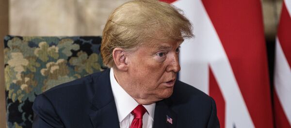 Председник САД Доналд Трамп Председник САД Доналд Трамп - Sputnik Србија