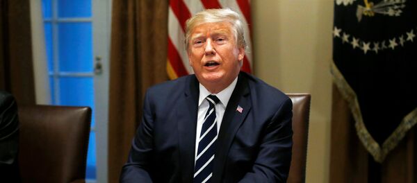 Председник САД Доналд Трамп - Sputnik Србија