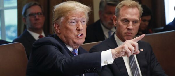 Predsednik SAD Donald Tramp na sastanku sa članovima kabineta u Beloj kući - Sputnik Srbija