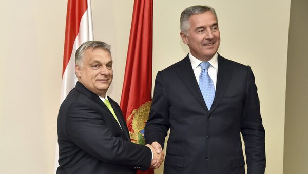 Viktor Orban i Milo Đukanović - Sputnik Srbija