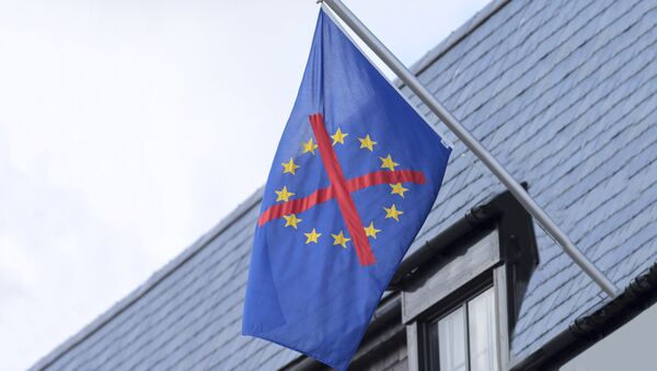 Prekrižena zastava EU - Sputnik Srbija