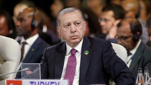 Председник Турске Реџеп Тајип Ердоган на самиту земаља БРИКС-а у Јоханесбургу - Sputnik Србија