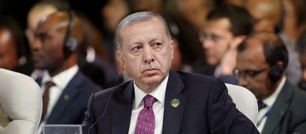 Predsednik Turske Redžep Tajip Erdogan na samitu zemalja BRIKS-a u Johanesburgu - Sputnik Srbija