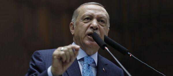 Председник Турске Реџеп Тајип Ердоган - Sputnik Србија