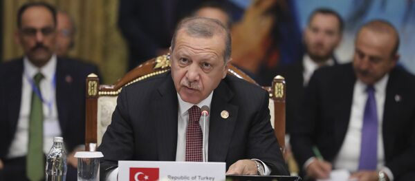 Председник Турске Реџеп Тајип Ердоган - Sputnik Србија