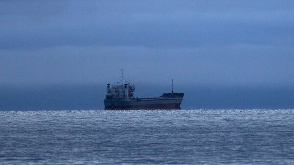 Brod u Istočnom sibirskom moru na Severnom morskom putu - Sputnik Srbija