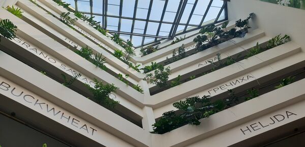 Unutrašnjost hotela Ajda u Moravskim Toplicama inspirisana je heljdom, po kojoj hotel i nosi ime Unutrašnjost hotela Ajda u Moravskim Toplicama inspirisana je heljdom, po kojoj hotel i nosi ime - Sputnik Srbija