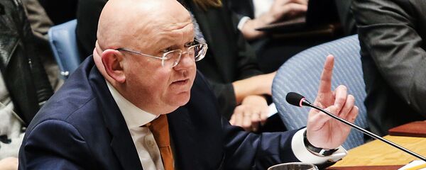 Василиј Небензја - Sputnik Србија