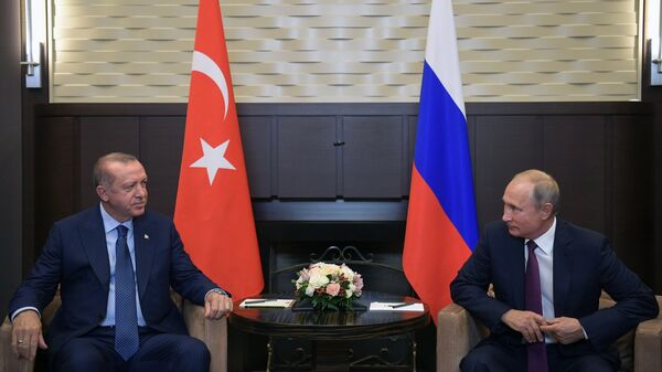 Vladimir Putin i Redžep Tajip Erdogan u Sočiju - Sputnik Srbija