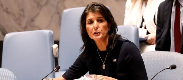 Америчка амбасадорка у УН Ники Хејли на заседању Савета безбедности УН - Sputnik Србија