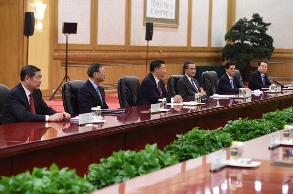 Kineska delegacija na čelu sa predsednikom Si Đinpingom Kineska delegacija na čelu sa predsednikom Si Đinpingom - Sputnik Srbija