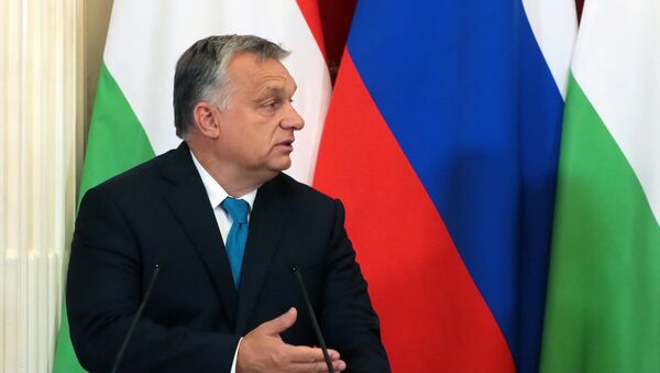 Mađarski premijer Viktor Orban u poseti Rusuji - Sputnik Srbija