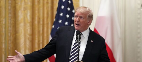 Predsednik SAD Donald Tramp - Sputnik Srbija