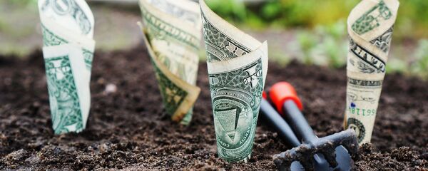 Зарада - Sputnik Србија