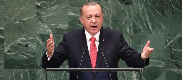 Predsednik Turske Redžep Tajip Erdogan na zasedanju Generalne skupštine UN Predsednik Turske Redžep Tajip Erdogan na zasedanju Generalne skupštine UN - Sputnik Srbija