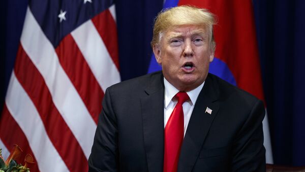 Predsednik SAD Donald Tramp - Sputnik Srbija
