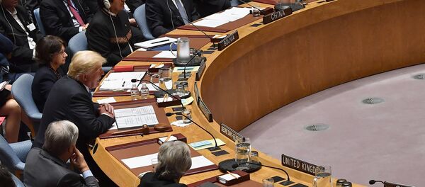 SB UN SB UN - Sputnik Srbija