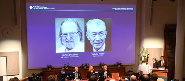 Тацуко - Sputnik Србија