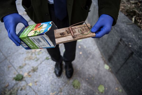 Парижани на све начине покушавају да се ослободе глодара - Sputnik Србија