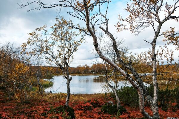 Jesenja paleta: Od beskrajnih poljana Sibira, do kristalnih jezera arktičkog severa - Sputnik Srbija