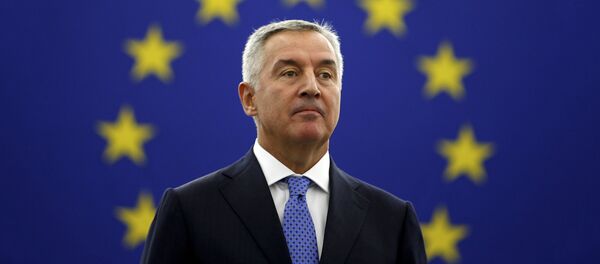 Milo Đukanović u Evropskom parlametnu - Sputnik Srbija