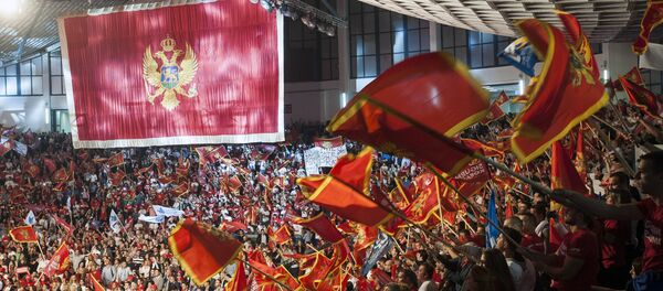 Miting u hali Morača - Sputnik Srbija