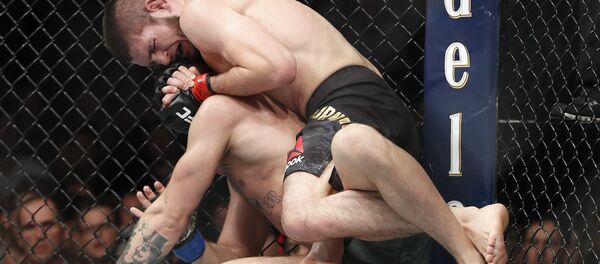 Borba između Habiba Nurmagomedova i Konora Makgregora Borba između Habiba Nurmagomedova i Konora Makgregora - Sputnik Srbija