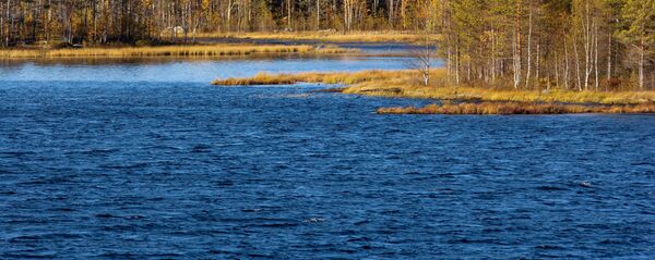 Река Сегежа у Карелији - Sputnik Србија
