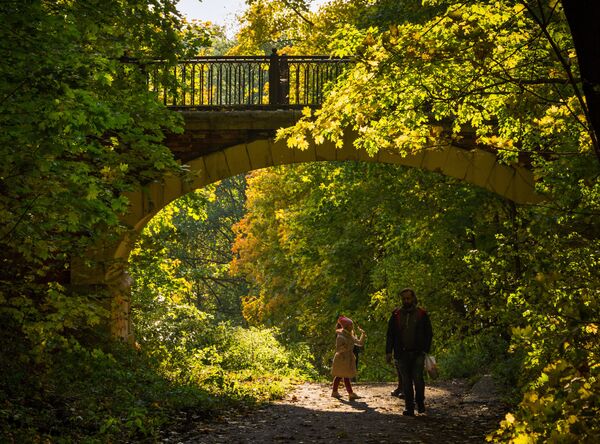 Како спречити прелазак вируса Западног Нила на човека - Sputnik Србија