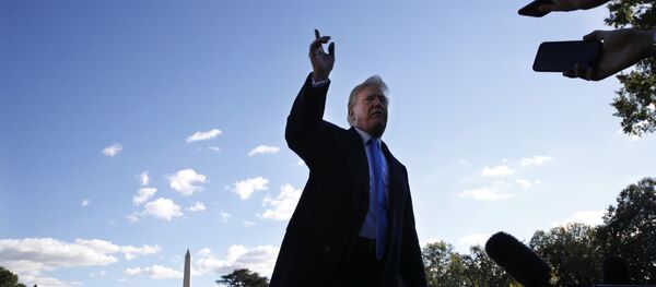 Председник САД Доналд Трамп одговара на питања новинара испред Беле куће Председник САД Доналд Трамп одговара на питања новинара испред Беле куће - Sputnik Србија