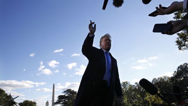 Predsednik SAD Donald Tramp odgovara na pitanja novinara ispred Bele kuće - Sputnik Srbija