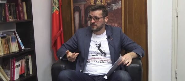 Srđan Nogo - Sputnik Srbija