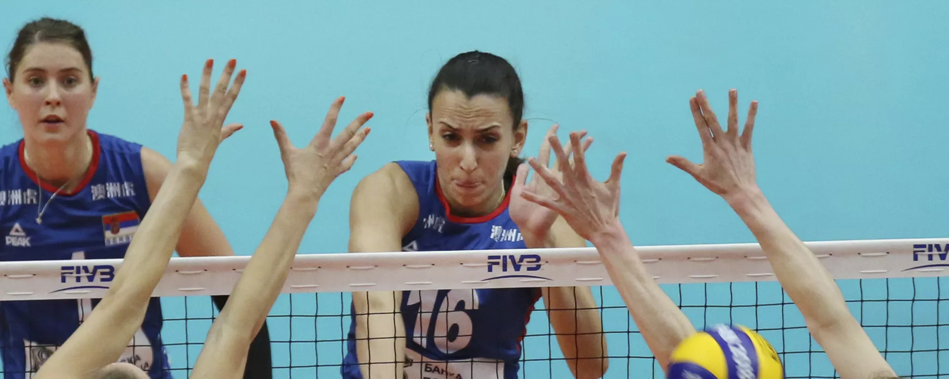 Odbojkašica Srbije Milena Rašić u meču polufinala protiv Holandije na Svetskom prvenstvu u Japanu. Odbojkašica Srbije Milena Rašić u meču polufinala protiv Holandije na Svetskom prvenstvu u Japanu. - Sputnik Srbija, 1920, 02.09.2023
