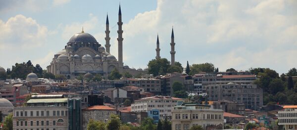 Поглед на Плаву џамију преко Босфора, Истанбул. - Sputnik Србија