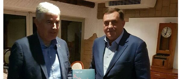 Milorad Dodik i Dragan Čović - Sputnik Srbija