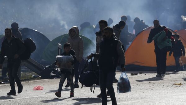 Migranti na granici BiH i Hrvatske u neuspelom pokušaju da se domognu EU - Sputnik Srbija