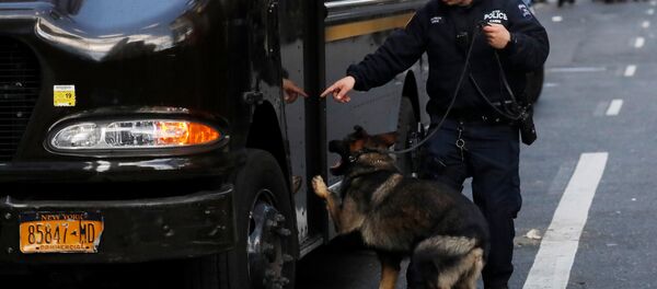 Njujorški policajac proverava vozilo sa psom tragačem bombi ispred zgrade Tajm Vorner centra nakon što je u sedištu Si-en-ena pronađen sumnjiv paket. - Sputnik Srbija