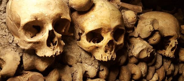 Скелет - Sputnik Србија