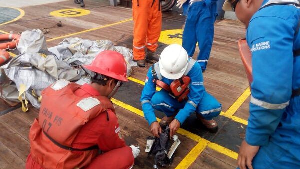 Radnici, koji učestvuju u akciji spasavanja posle avionske nesreće, pregledaju ostatke za koje se sumnja da potiču od aviona kompanije Lajon Er - Sputnik Srbija