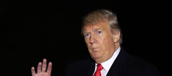 Председник САД Доналд Трамп - Sputnik Србија