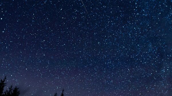 Meteor leti preko neba tokom godišnjeg prolaska meteorskog roja Perseidi u Zapadnoj Virdžiniji - Sputnik Srbija