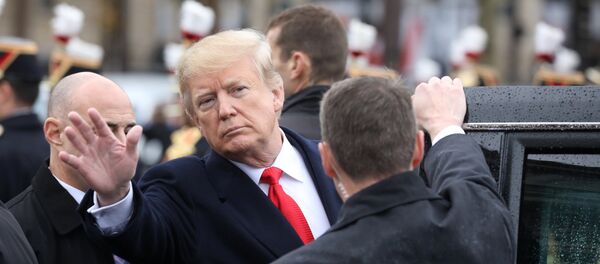 Предсеник САД Доналд Трамп на церемонији поводом 100 година од завршетка Првог светског рата Предсеник САД Доналд Трамп на церемонији поводом 100 година од завршетка Првог светског рата - Sputnik Србија