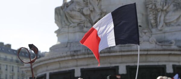 Застава Француске на протесту - Sputnik Србија