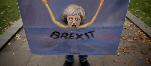 Тереза Меј на транспаренту на протесту због Брегзита - Sputnik Србија