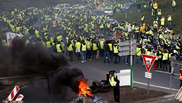 Demonstranti u žutim prslucima, simbolom vozača u Francuskoj, protestuju protiv visokih cena goriva u Nansu - Sputnik Srbija