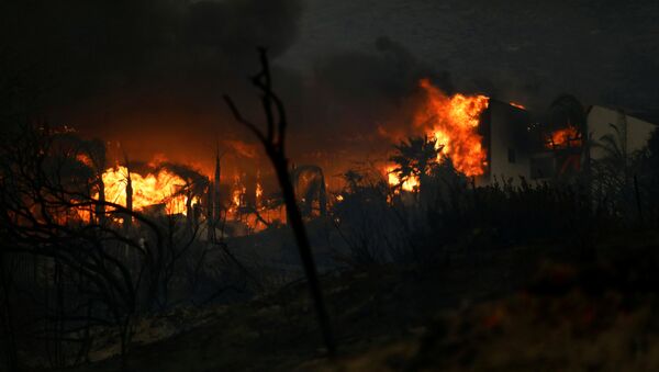 Požar u Malibuu u Kaliforniji - Sputnik Srbija