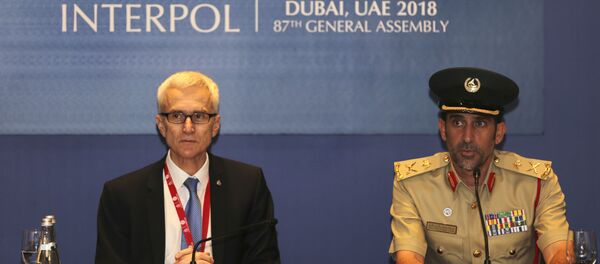 Генерални секретар Интерпола Јирген Шток Генерални секретар Интерпола Јирген Шток - Sputnik Србија